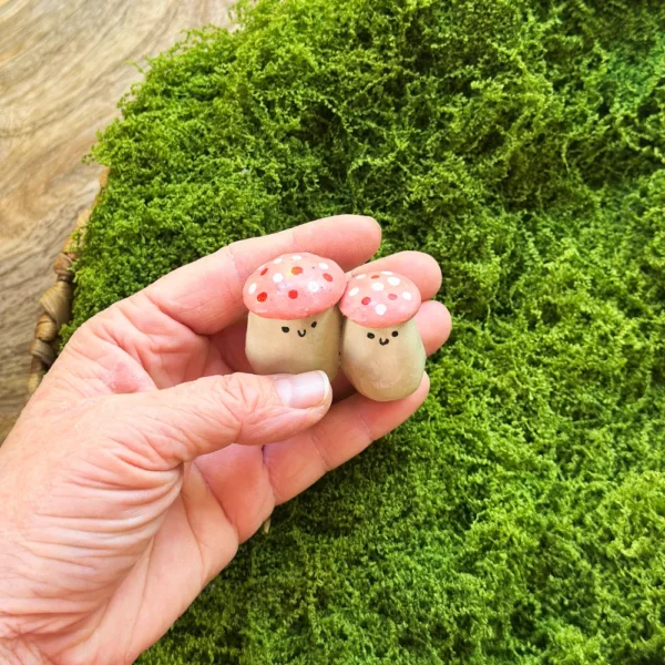 grzybki para różowe kapelusze