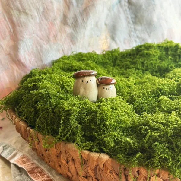 grzybki para prawdziwków