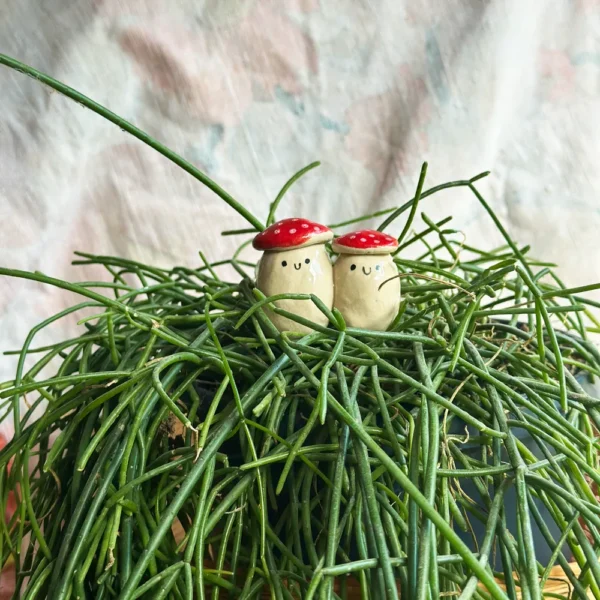 grzybki para muchomorków